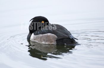 EA336801, Eastpress, Porvoo, Finland